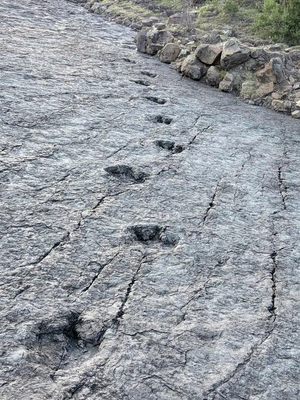 Footprints running in a line up a tilted grey rock surface
