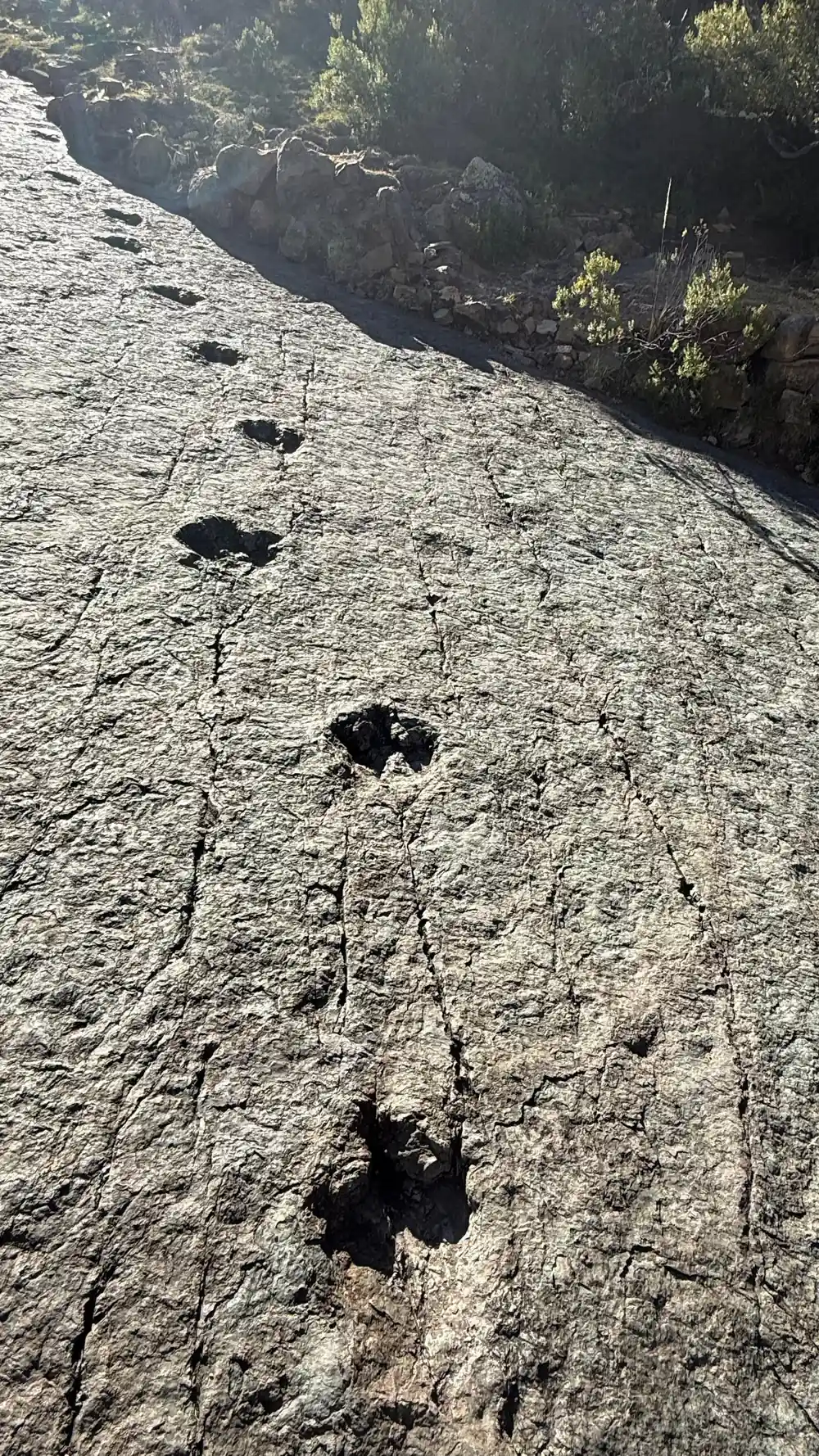 A large dark footprint in a sloping grey rock face