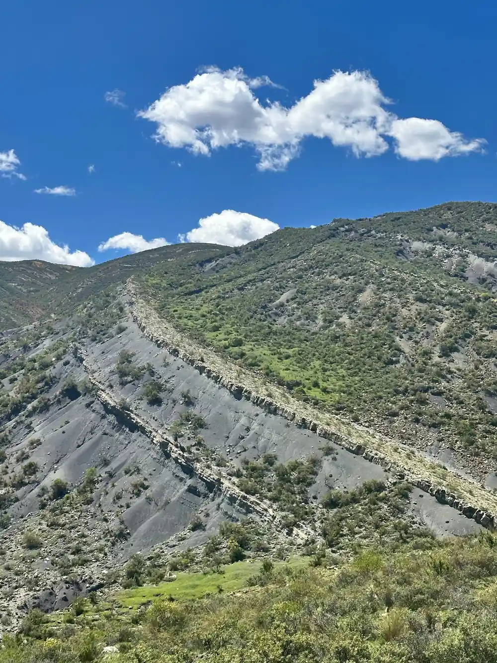 A ridge of tilted strata running diagonally down a green hillside