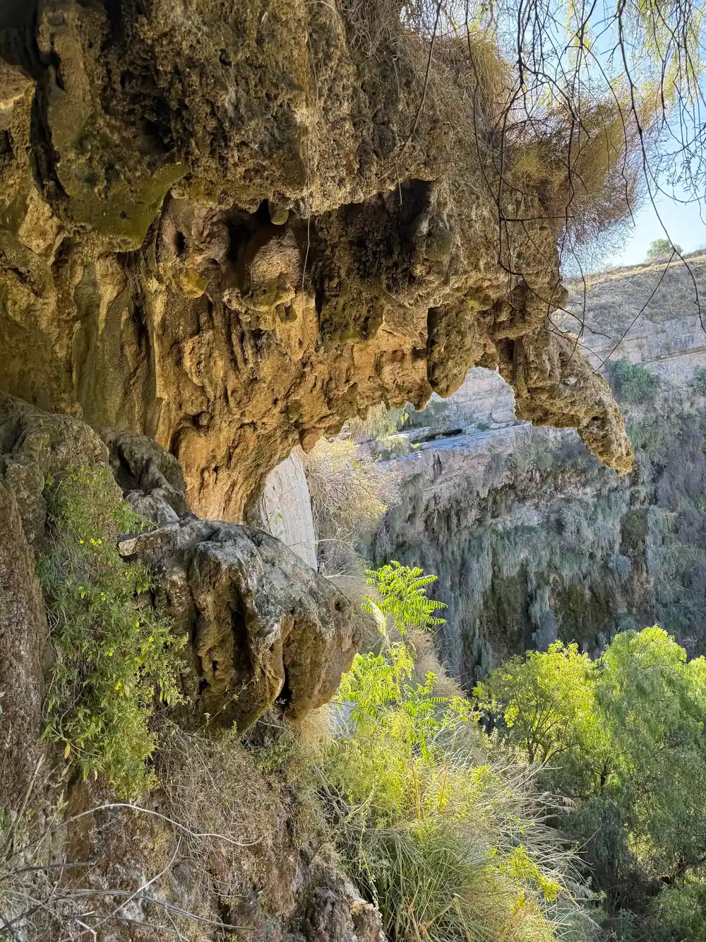 A rock overhang with hanging vegetation above a stream