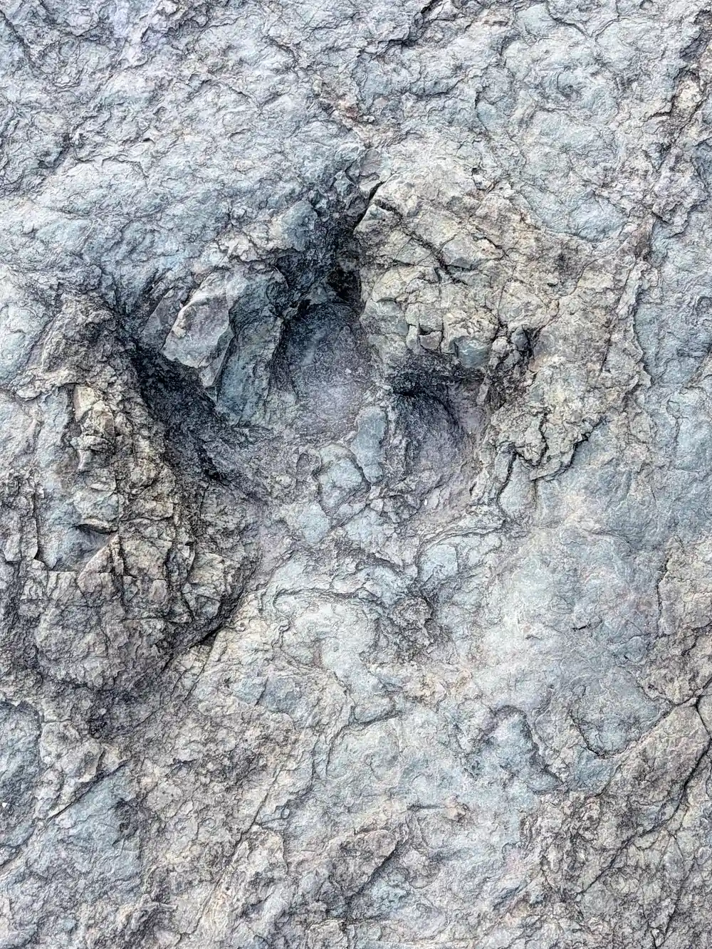 A single deep three-toed footprint in weathered grey rock