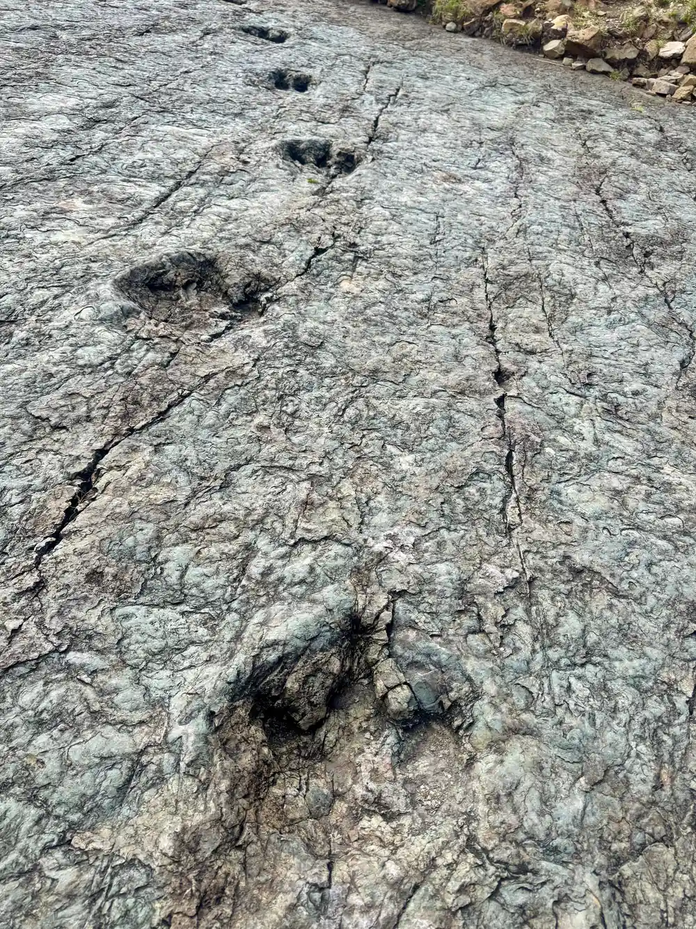 Two dark footprints in a cracked pale rock surface