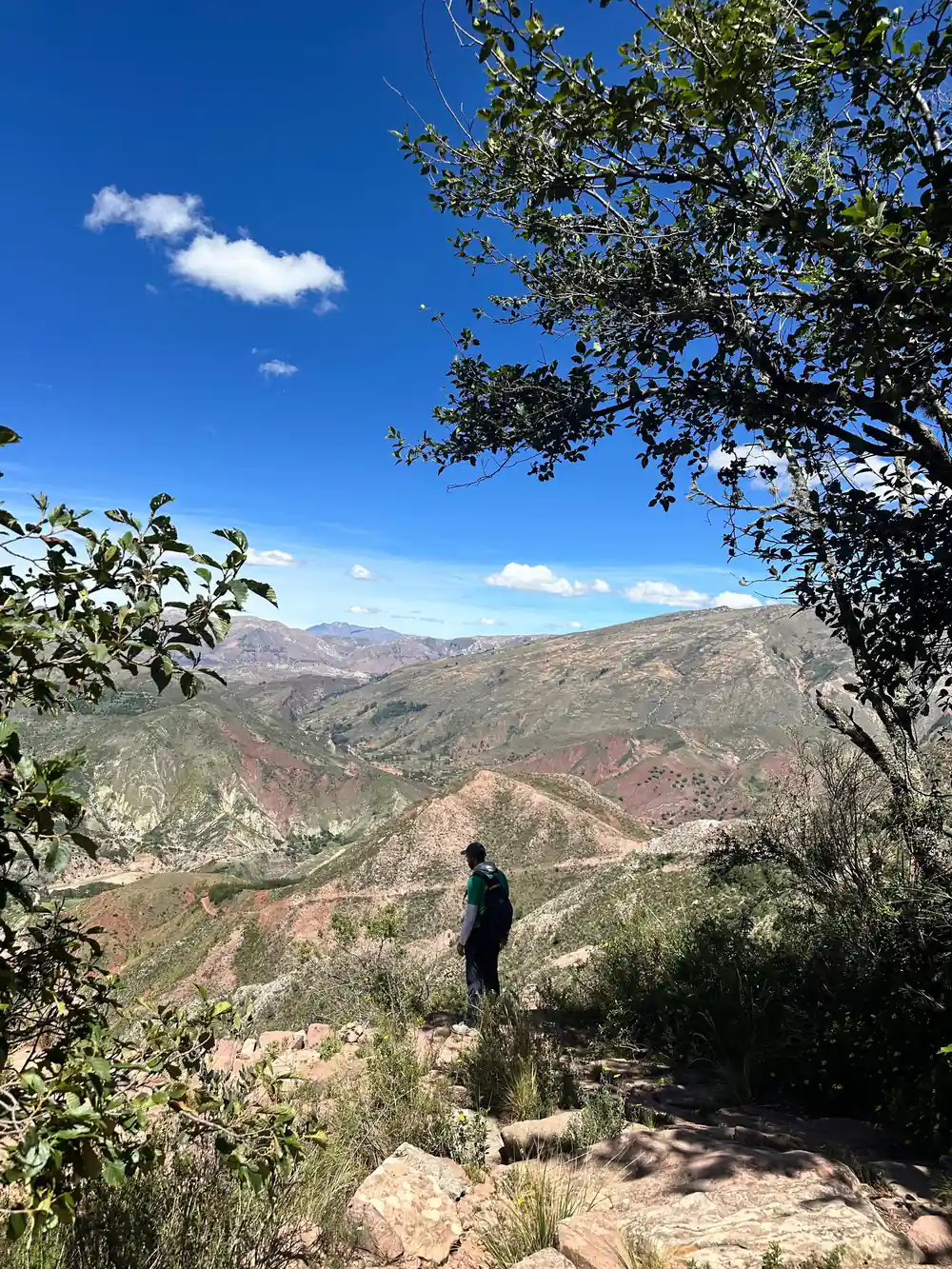 A walker on a trail with layered hills and trees beyond