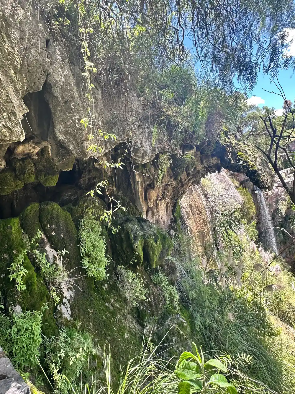 Water falling over a mossy overhang into a rocky gorge