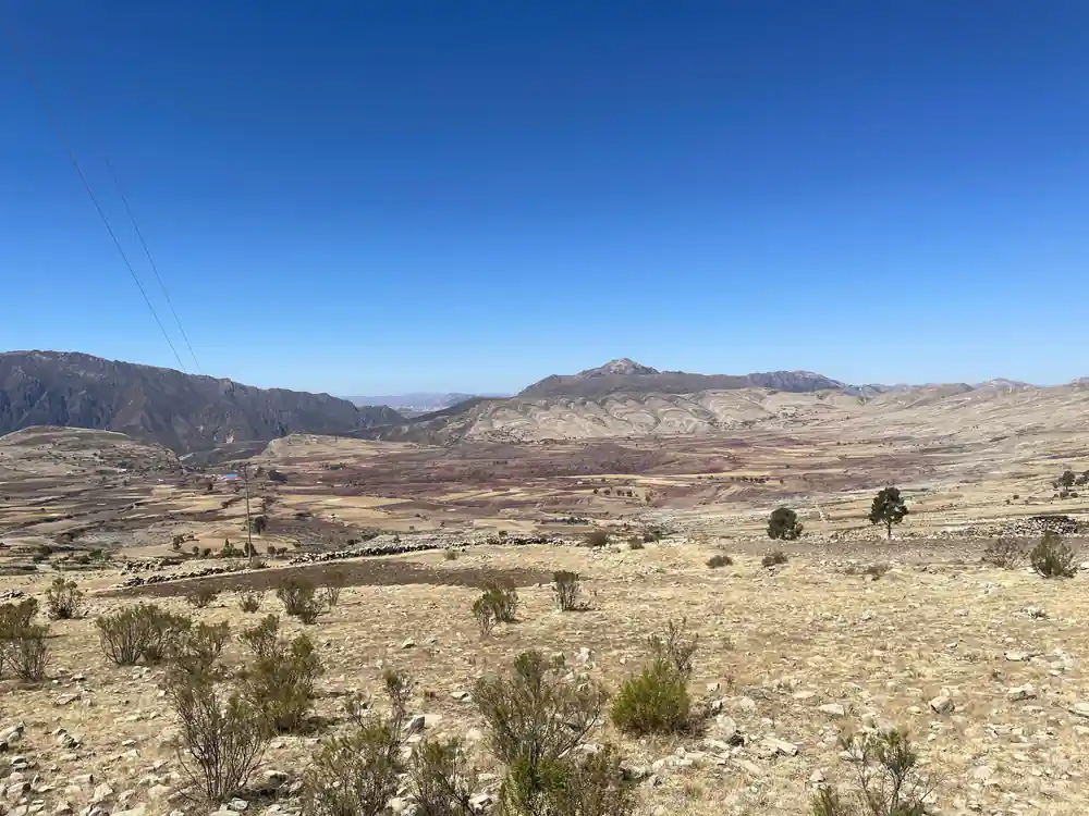 A wide dry plain with scattered trees below a distant peak